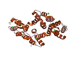 2ran: RAT ANNEXIN V CRYSTAL STRUCTURE: CA2+-INDUCED CONFORMATIONAL CHANGES