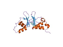 2uv7: CRYSTAL STRUCTURE OF A CBS DOMAIN PAIR FROM THE REGULATORY GAMMA1 SUBUNIT OF HUMAN AMPK IN COMPLEX WITH AMP