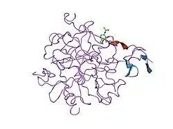 4htc: THE REFINED STRUCTURE OF THE HIRUDIN-THROMBIN COMPLEX