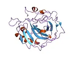 5ca2: CONFORMATIONAL MOBILITY OF HIS-64 IN THE THR-200 (RIGHT ARROW) SER MUTANT OF HUMAN CARBONIC ANHYDRASE II