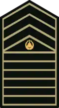 Philippine Army FCMS