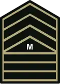 Master sergeant (Philippine Army)[19]