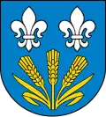 Coat of arms of Gmina Chąśno