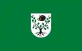 Flag of Gmina Kruszyna