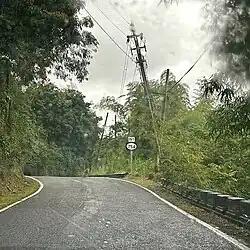 Puerto Rico Highway 184 in Mulas