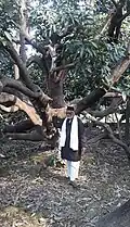 Padmashri winner and an expert mango grower Kaleemullah Khan at his farm at Malihabad