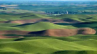 The Palouse hills near Steptoe Butte