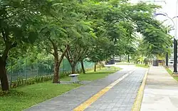 Panampilly Nagar Walkway
