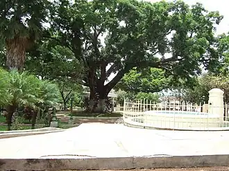 Turín municipal park