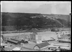 3rd Dunedin exhibition