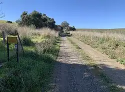 A view of the walking trail Watervale township to Mt. Horrocks and back