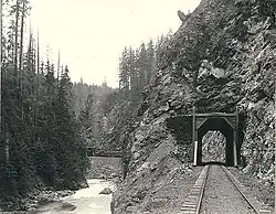 Passenger train and tracks of the Everett and Monte Cristo Railroad, Washington, ca. 1894.