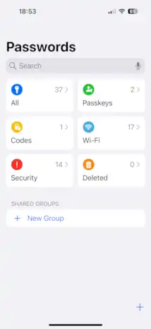 A screenshot of the Passwords app on iOS 18.1.1