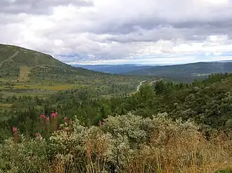 Peer Gynt Vegen 2.jpg