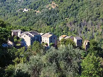 The village of Acquatella, in Penta-Acquatella
