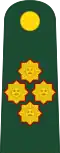General de ejército (Peruvian Army)[20]