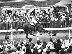 Image 29Phar Lap winning the Melbourne Cup, "the race that stops a nation" (from Culture of Australia)