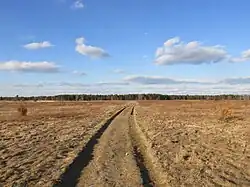 Pheasant Area Frances A. Crane Wildlife Management Area