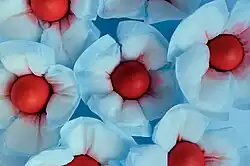 A Present For her Growth 1 (1996) “The artwork is about the burden of female — menstruation and pregnancy.”[37] Roger Lee&nbsp; commented that this series of artwork “can be read as an essentialist feminist work and at the same time a play of feminism…the flowered chair becomes a personification of the presence of women in Hong Kong society and is art world”[38]