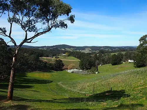 View SE across the Piccadilly Valley from the Mount Lofty Scenic Route. The summit of Mount Barker, 22&nbsp;km away, is visible on the horizon.
