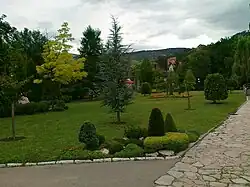 Landscape in the park