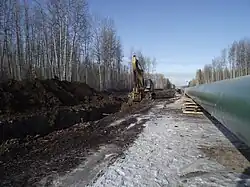 Photo of a forest with a pipeline and road running through it, and a piece of construction machinery on the road
