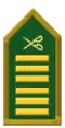 Colonel