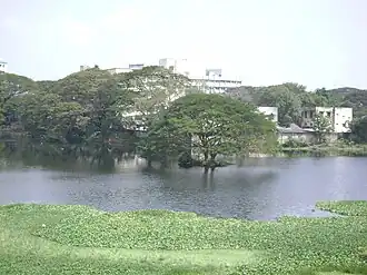 Chetpet Lake in 2008