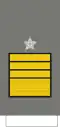 Coronel-tirocinado (Portuguese Army)[13]