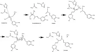 CURS1 Mechanism