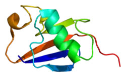 A ribbon diagram of the protein parkin