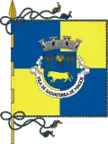 Flag of Salvaterra de Magos