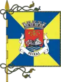 Flag of Seixal