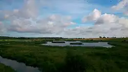 View from sight-tower on swamps