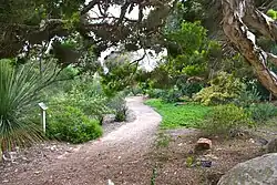 Path through gardens