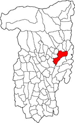 Location in Vâlcea County