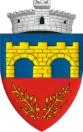 Coat of arms of Chichiș