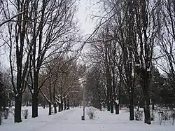 Central Park (Központi Park/Parcul Central)