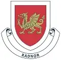 Radnor house badge