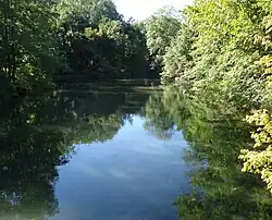 From footbridge in Cranford