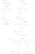 4 - Synthesis of Orn10-Gly14 Subunit