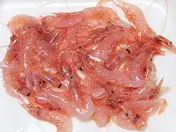 Raw sakura shrimp