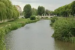 River Arlanzón in spring