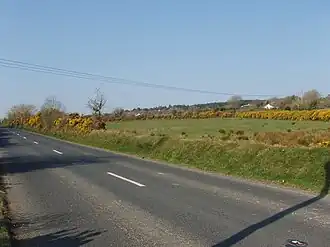 Road near Mullanour beside pasture and gorse - geograph.org.uk - 1305275.jpg