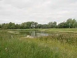 Landscape in Russko-Polyansky District