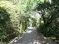 Walkway toward City Zoo. During quarry operations it was used as a cart path.