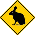 P-10-4 Rabbit crossing