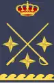 Teniente-general (Spanish Air Force)