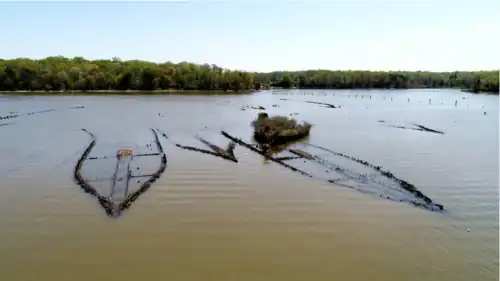 Various submerged shipwrecks and one shipwreck looking like a plant-covered island