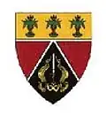 SWATF 1 SWA Provost emblem
